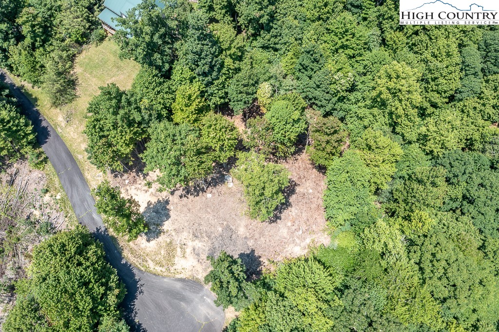 Lot 81 Tbd Bear Creek Road Property Photo 6