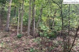 Tbd Walnut Hills Circle Property Photo 4