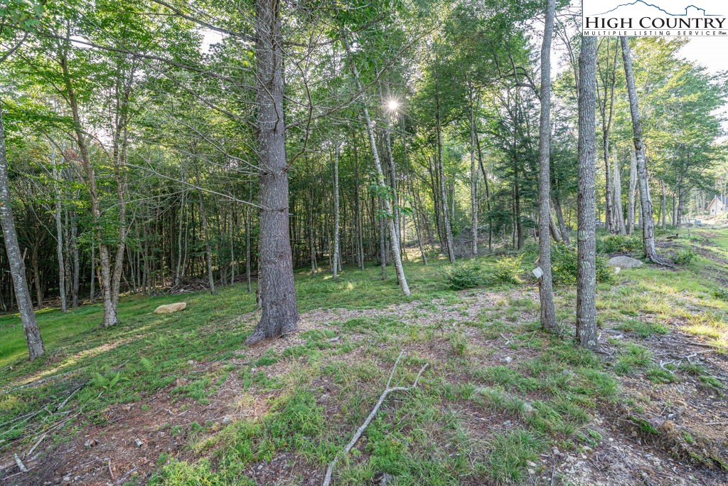 Es49 Rippling Waters Trail Property Photo 1