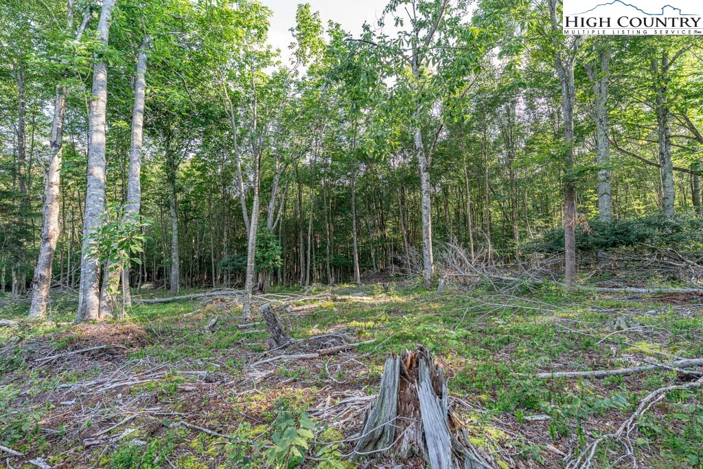 Es49 Rippling Waters Trail Property Photo 2