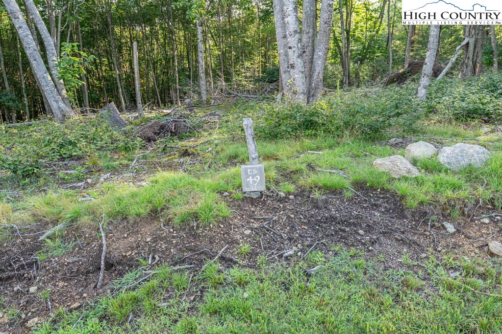 Es49 Rippling Waters Trail Property Photo 3