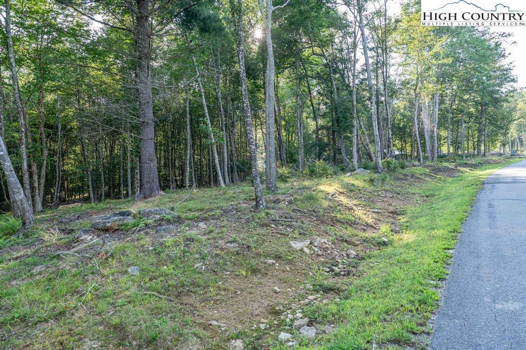 Es49 Rippling Waters Trail Property Photo 5