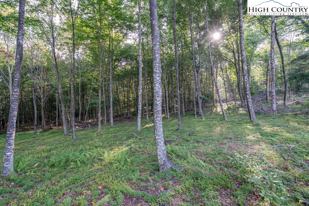 Es49 Rippling Waters Trail Property Photo 6