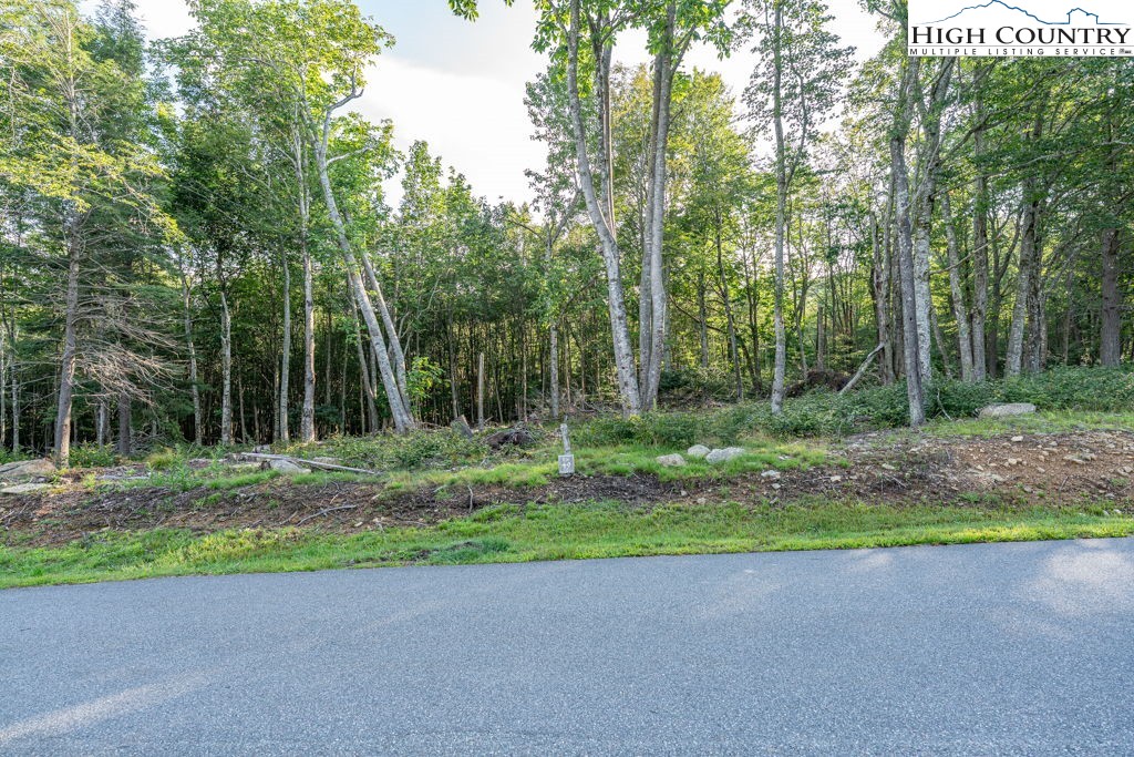 Es49 Rippling Waters Trail Property Photo 7