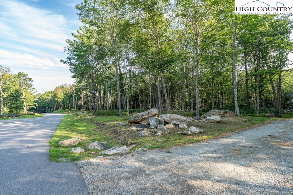 Es49 Rippling Waters Trail Property Photo 8