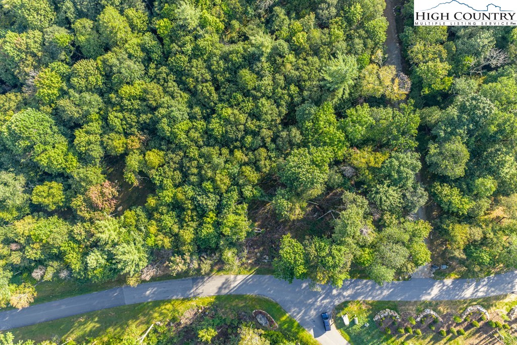 Es49 Rippling Waters Trail Property Photo 9