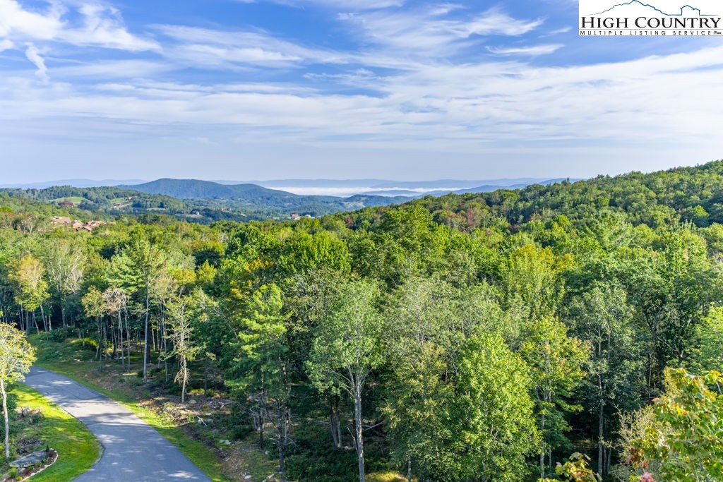 Es49 Rippling Waters Trail Property Photo 11