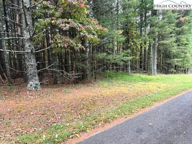 Tbd River Forest Road Property Photo 1