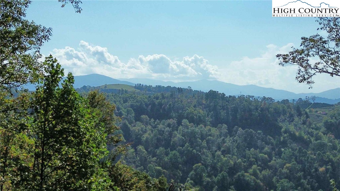 Lot 9 Eagles Crest Trail Property Photo 1