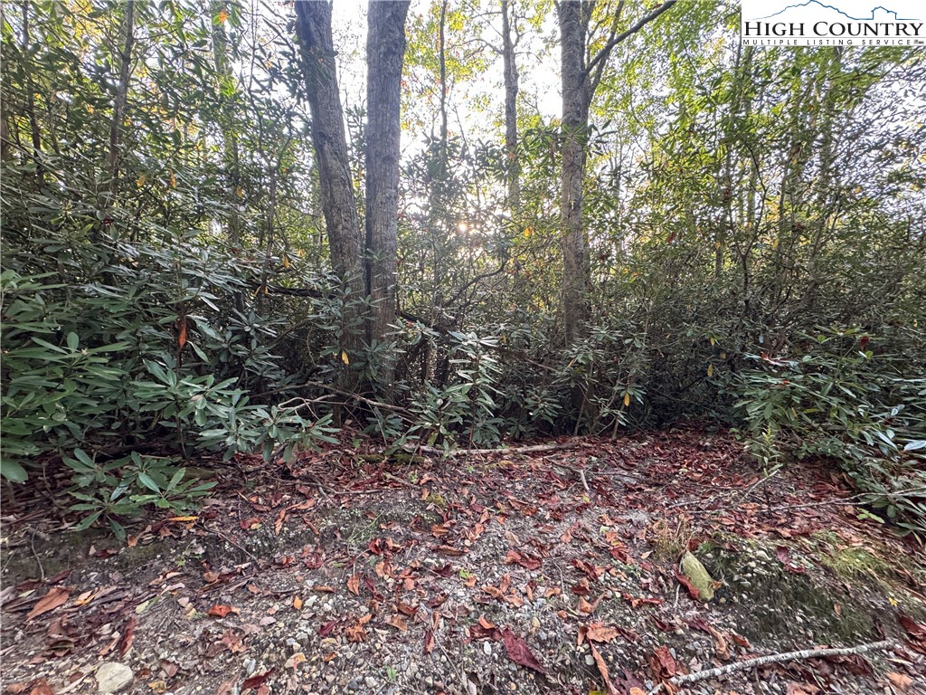 Tbd Farview Lane Property Photo 1