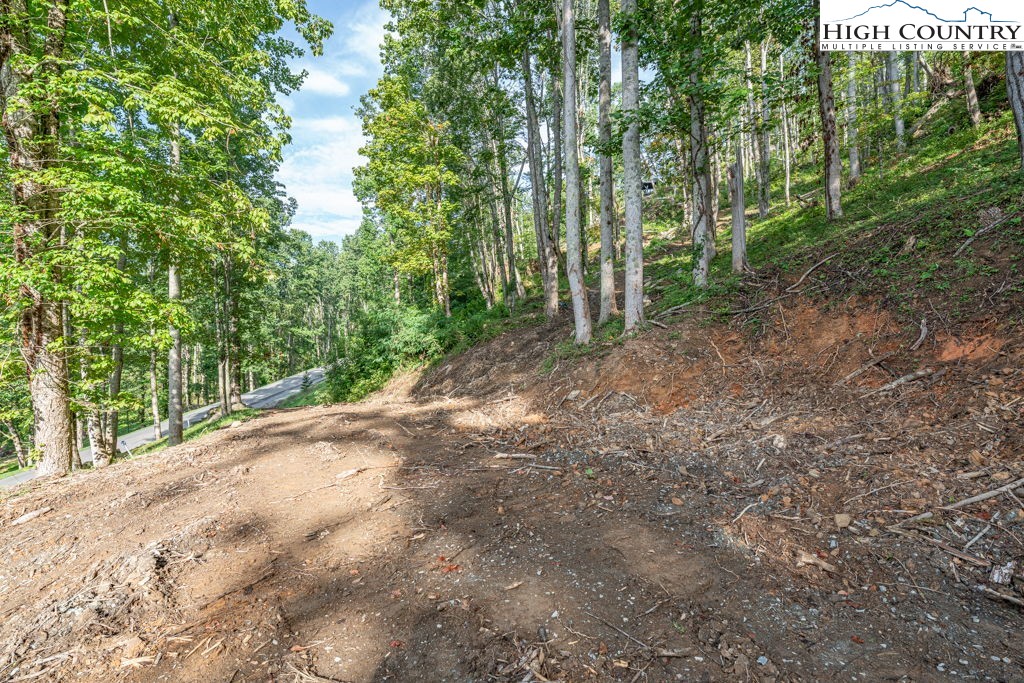 C1 Eagles Nest Trail Property Photo 2