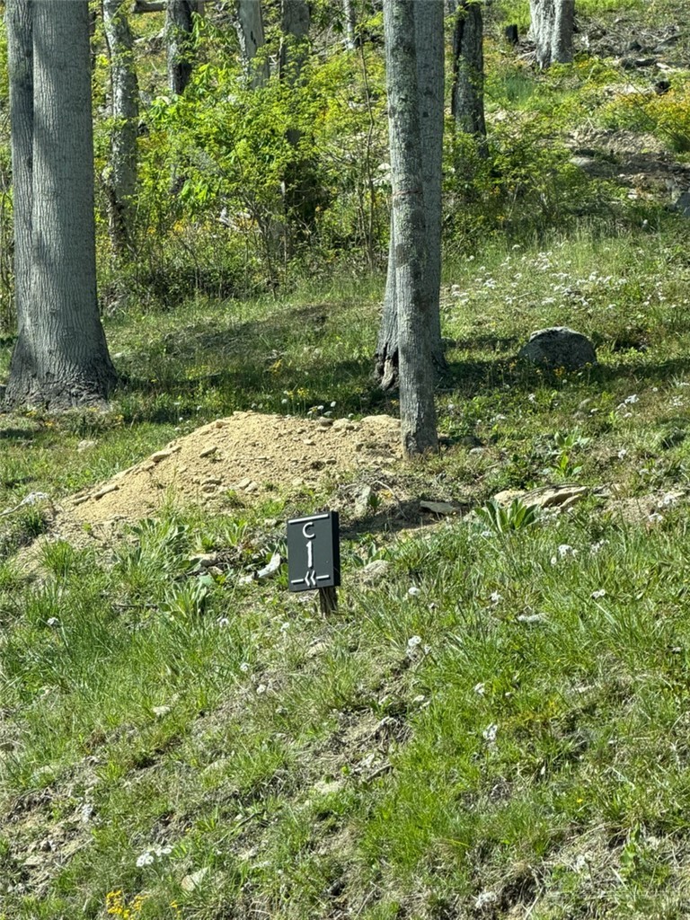 C1 Eagles Nest Trail Property Photo 3