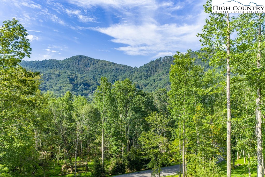 C1 Eagles Nest Trail Property Photo 4