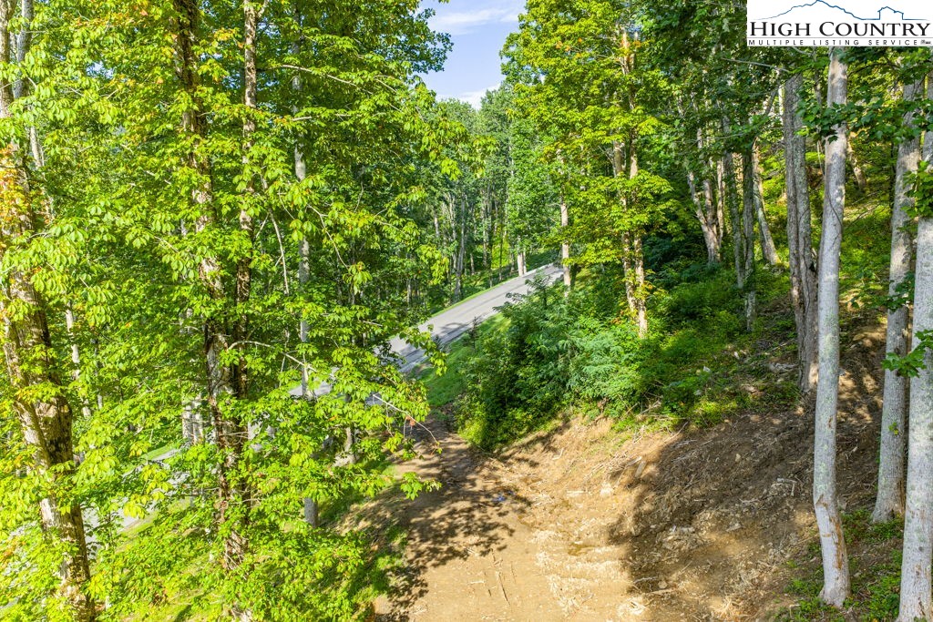 C1 Eagles Nest Trail Property Photo 6