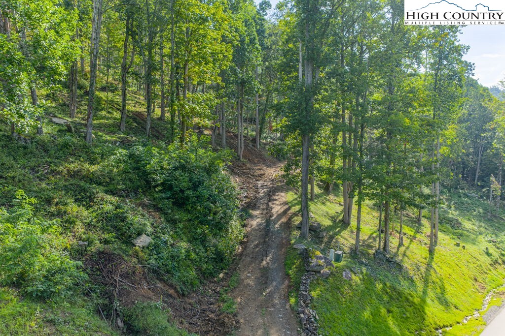 C1 Eagles Nest Trail Property Photo 7