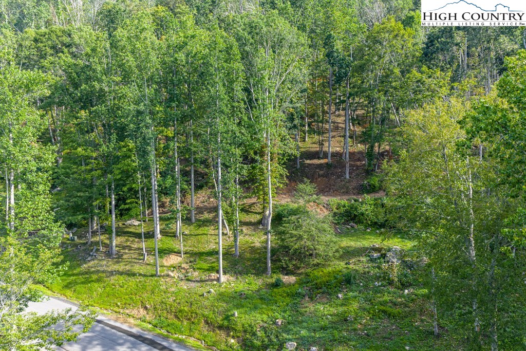 C1 Eagles Nest Trail Property Photo 8