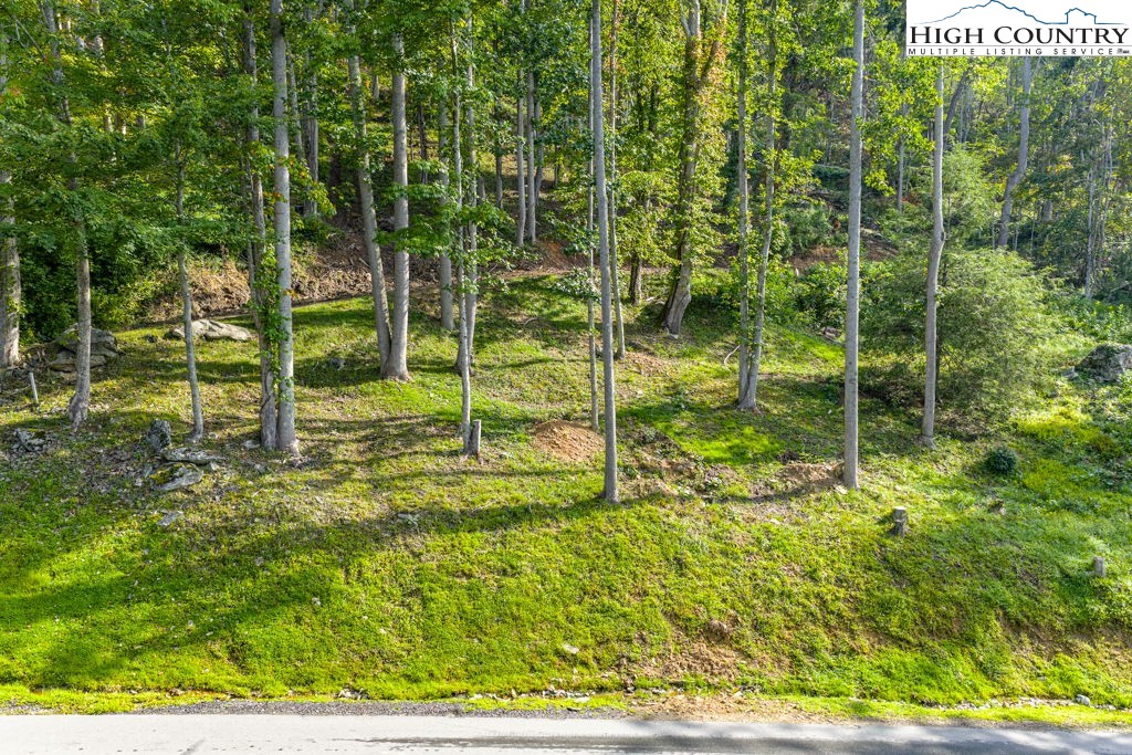 C1 Eagles Nest Trail Property Photo 9