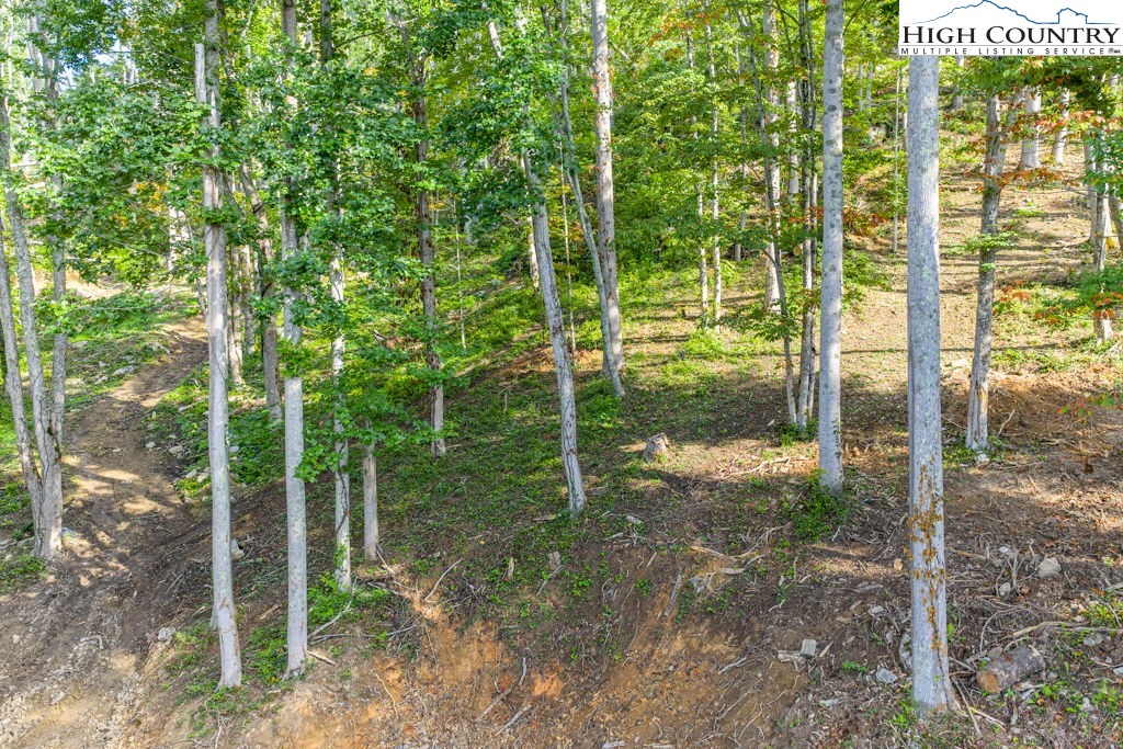 C1 Eagles Nest Trail Property Photo 12