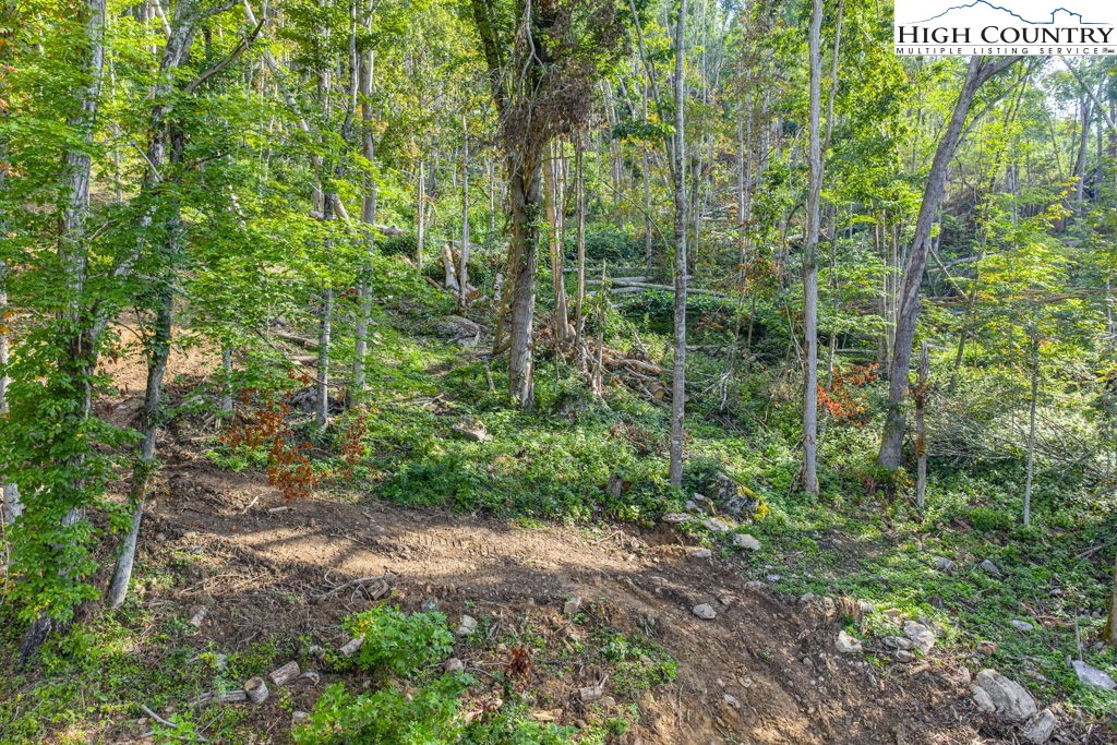 C1 Eagles Nest Trail Property Photo 13