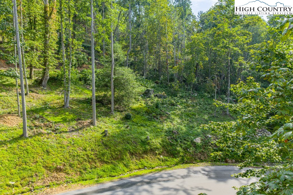 C1 Eagles Nest Trail Property Photo 14