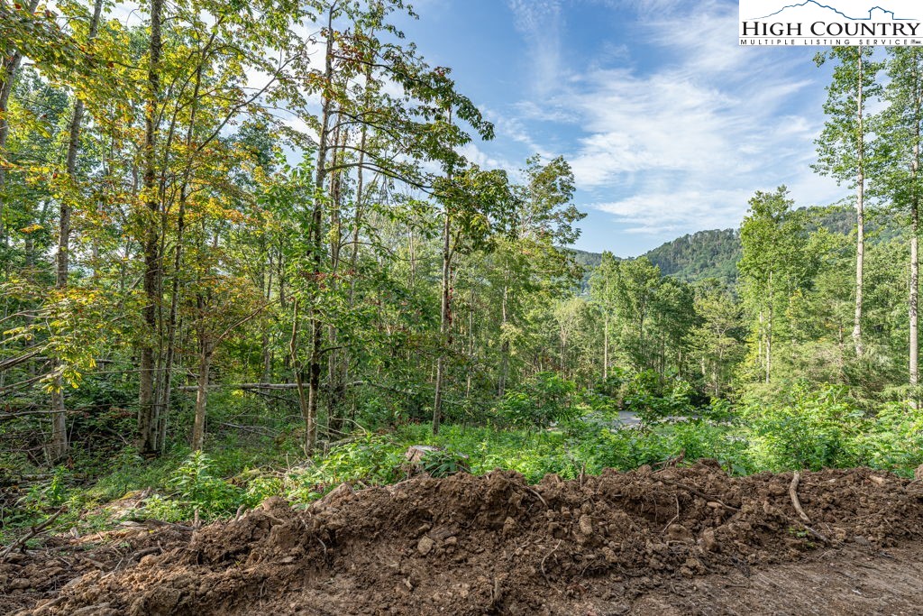 C1 Eagles Nest Trail Property Photo 17
