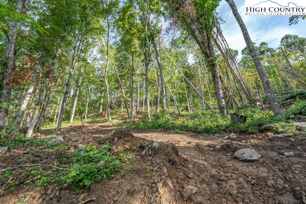 C1 Eagles Nest Trail Property Photo 18