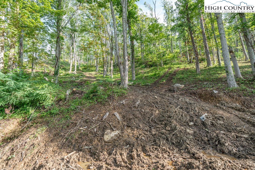C1 Eagles Nest Trail Property Photo 19
