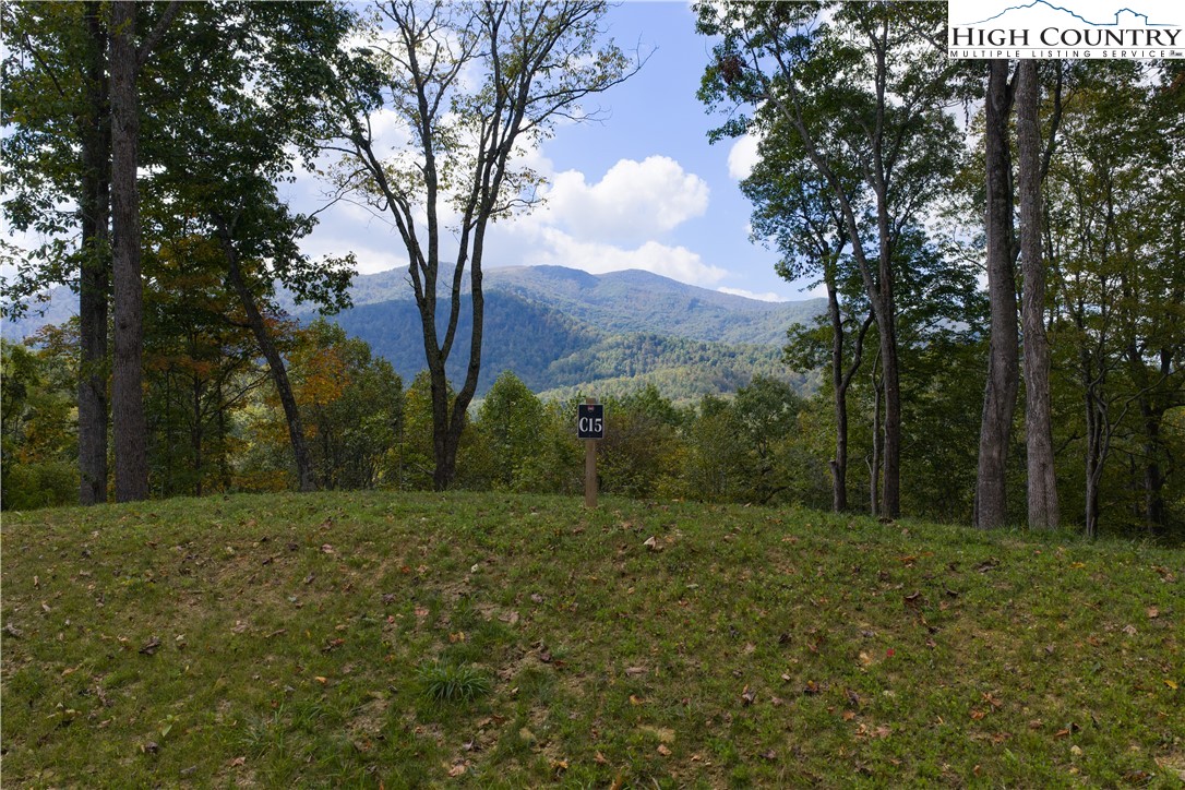 Lot C15 Autumnwood Trace Property Photo 1