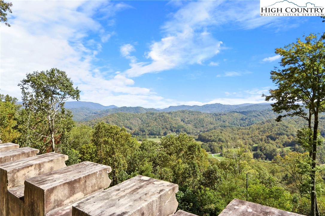 5742 Nc Highway 194 S Property Photo 8