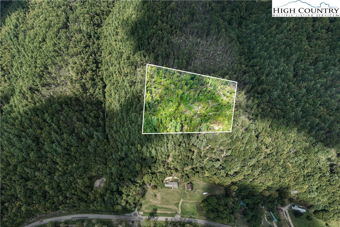Tbd Roan Creek Road Property Photo 5