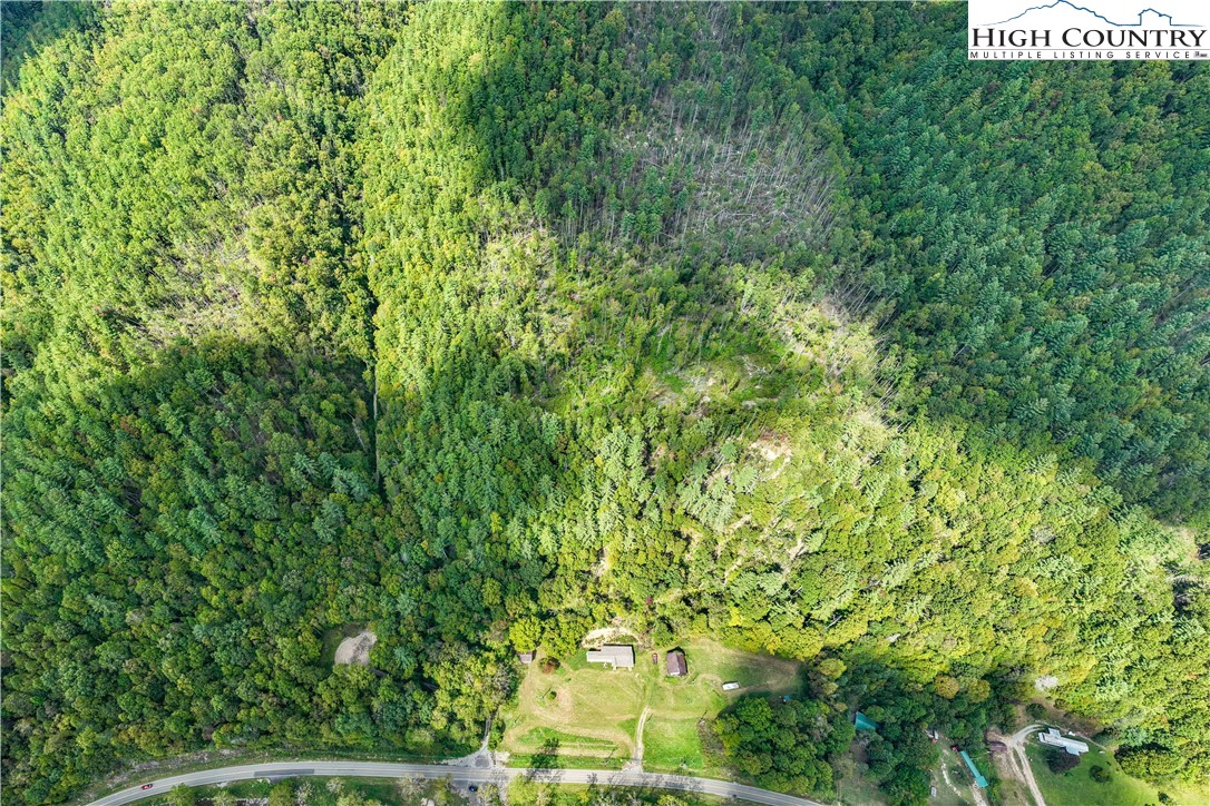 Tbd Roan Creek Road Property Photo 6
