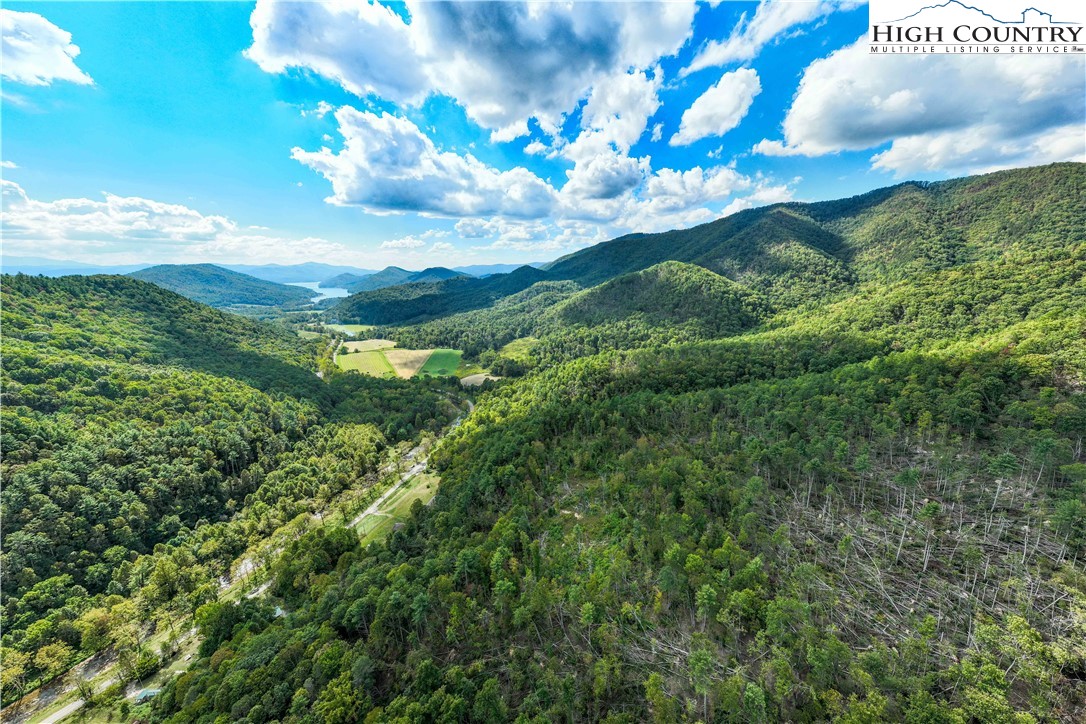 Tbd Roan Creek Road Property Photo 9
