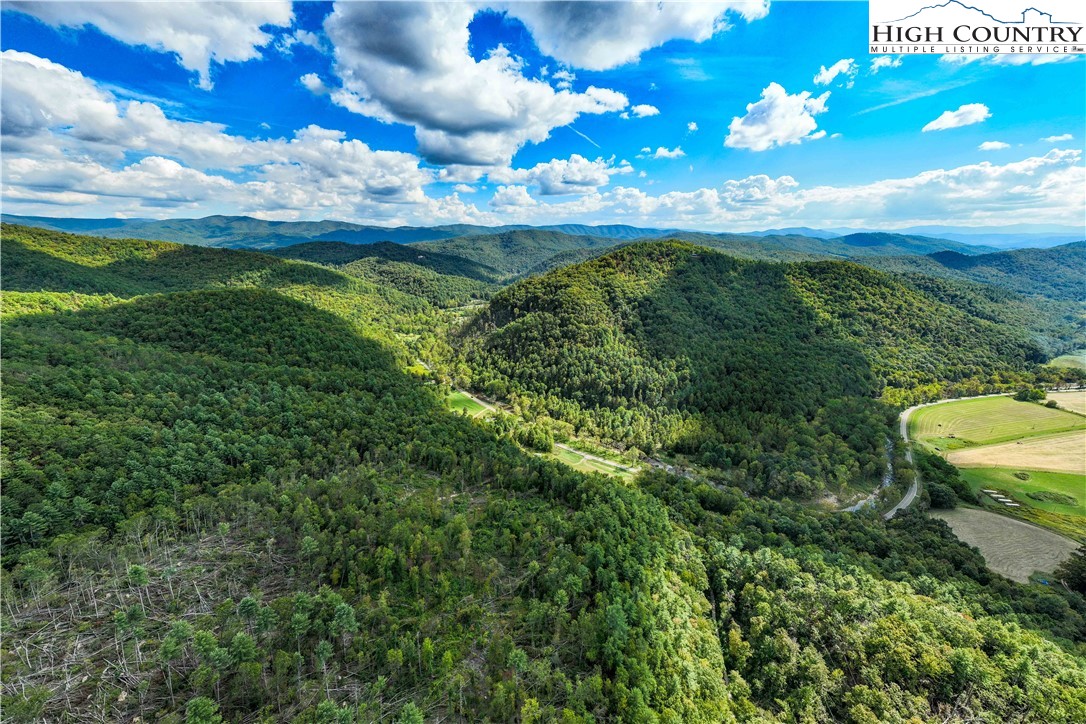 Tbd Roan Creek Road Property Photo 11