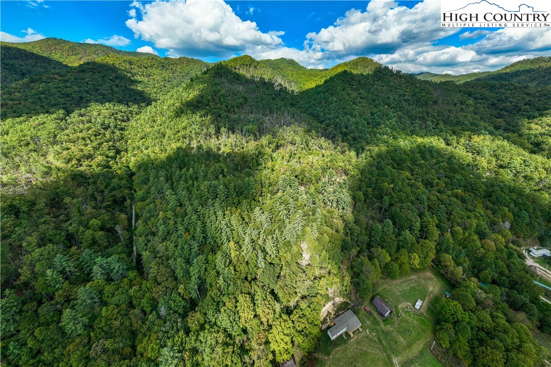 Tbd Roan Creek Road Property Photo 14