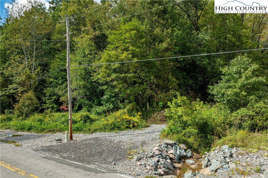 Tbd Roan Creek Road Property Photo 17