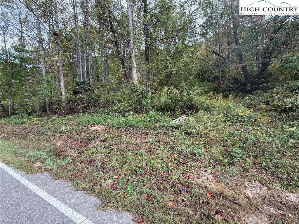 Tbd Roan Creek Road Property Photo 18