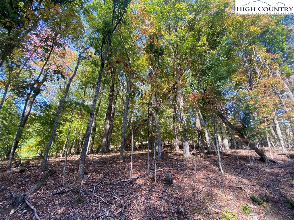 Tbd Maple Ridge Drive Property Photo 1