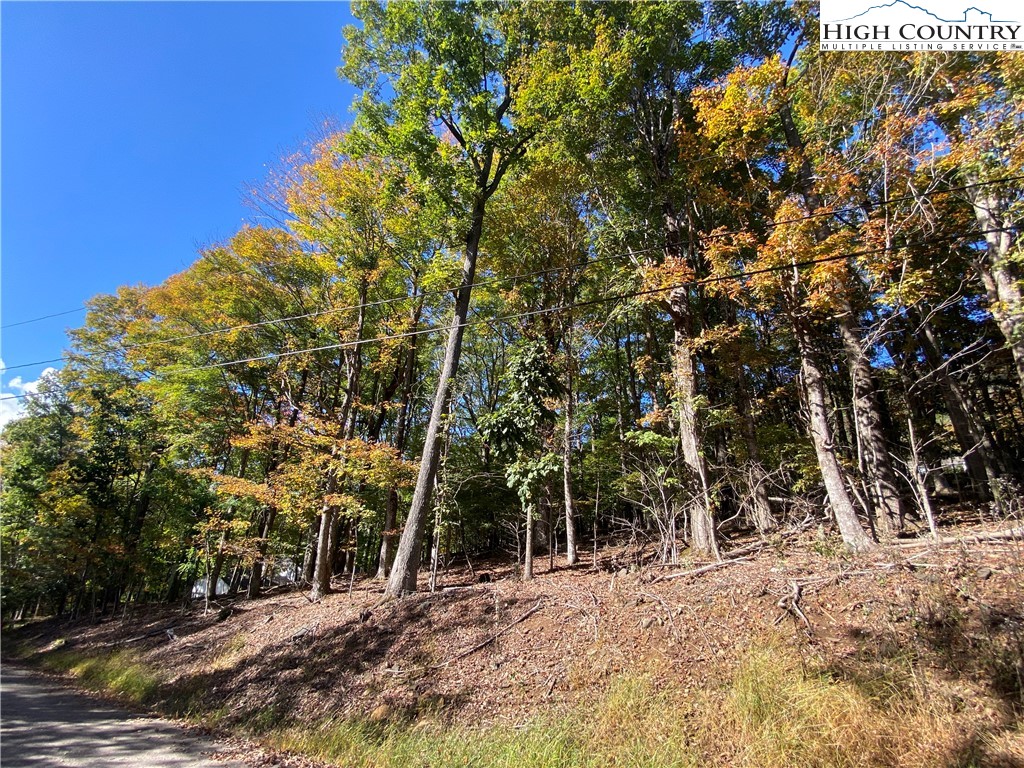 Tbd Maple Ridge Drive Property Photo 2