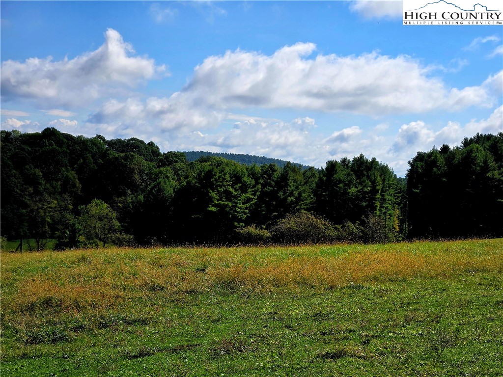 Tbd Blue Ridge Church Road Property Photo 6