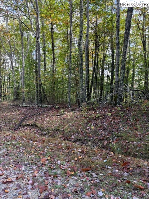 Lot 44a Buckeye Ridge Road Property Photo 1