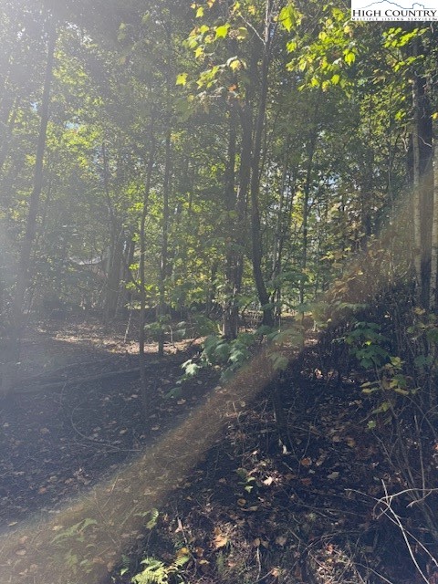166 Wild Iris Property Photo 1