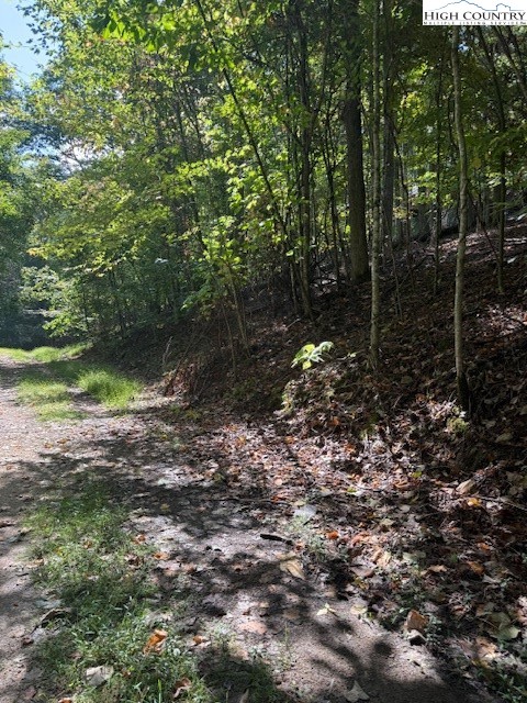 166 Wild Iris Property Photo 3