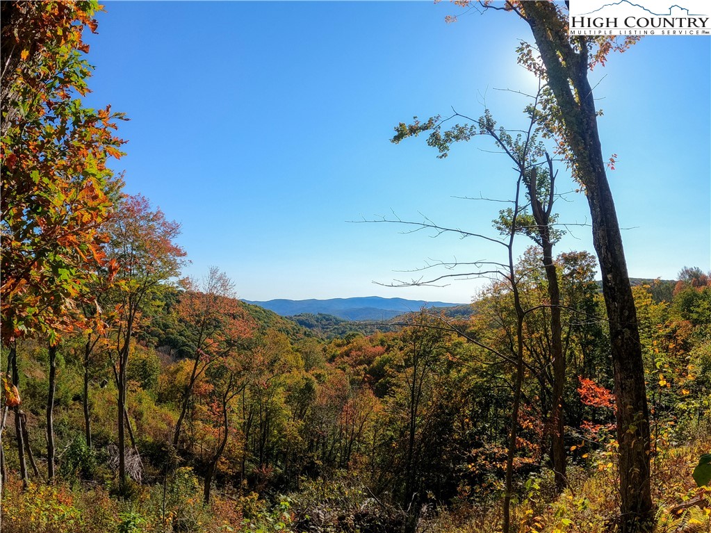 Lot 18 Rock Haven Trail Property Photo 1