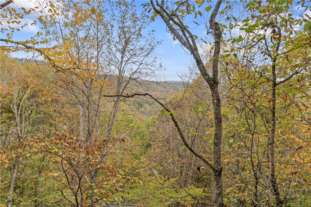 265 Leatherwood Road Property Photo 5