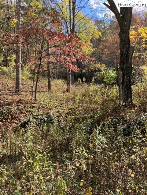 Tbd Nc Hwy 194 S Property Photo 1