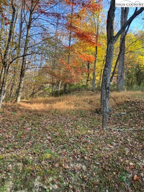 Tbd Nc Hwy 194 S Property Photo 3
