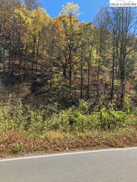 Tbd Nc Hwy 194 S Property Photo 4