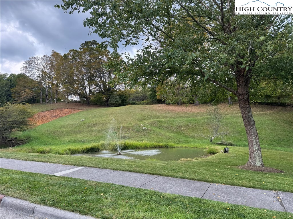 Lot #10 Orchard Lane Property Photo 4