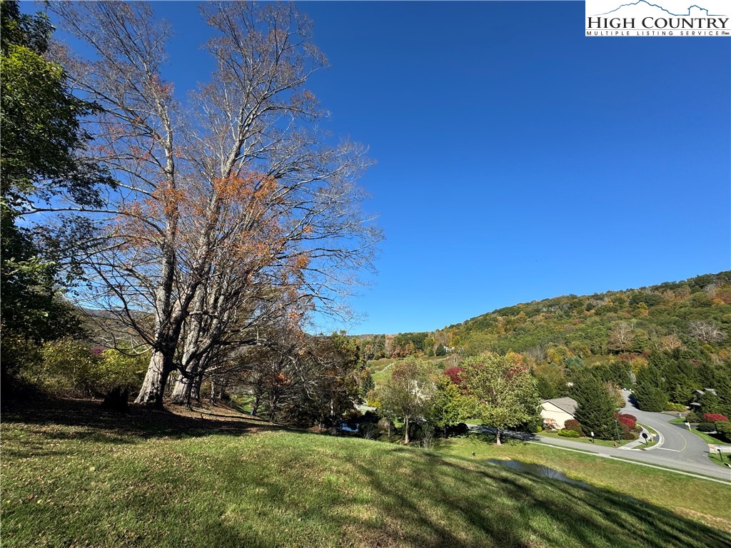 Lot #10 Orchard Lane Property Photo 6