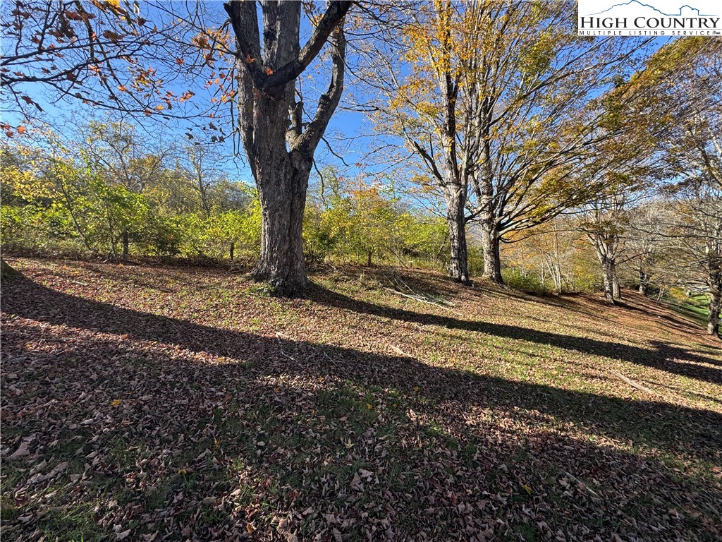 Lot #10 Orchard Lane Property Photo 8
